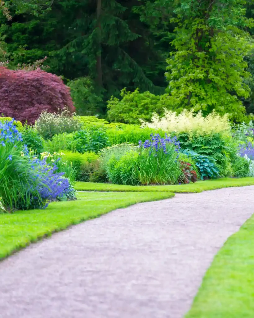 Backyard Landscaping with Colorful Flower Borders