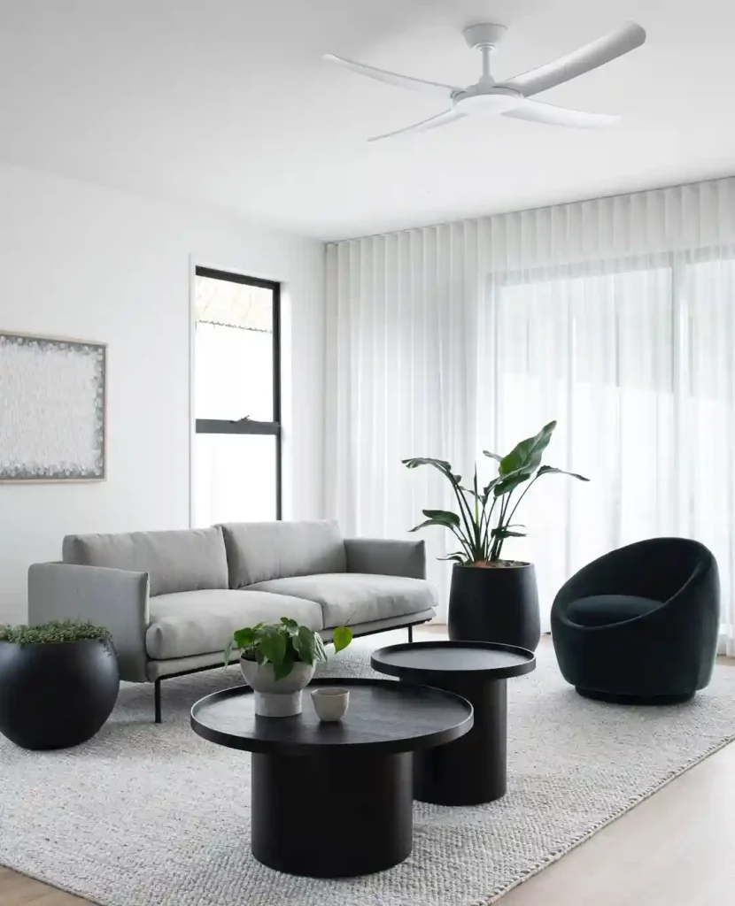 Black and White Minimalist Living Room with Indoor Plants