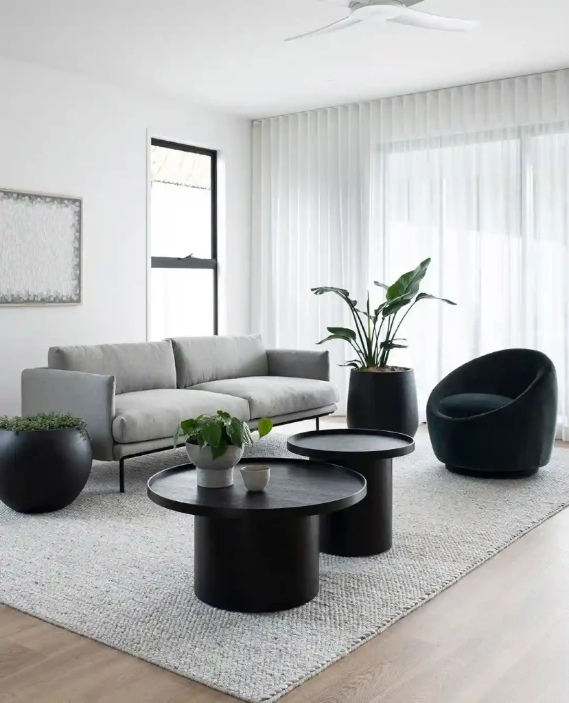 Modern Scandinavian Living Room with Black Accents