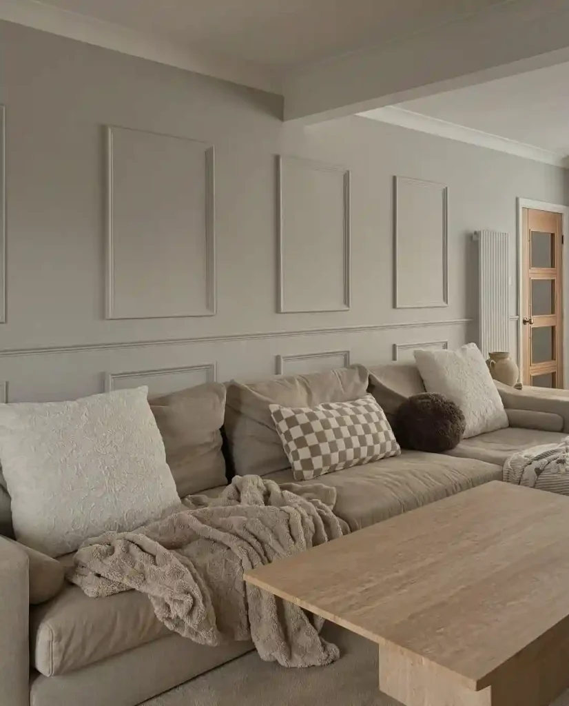 Mushroom Gray Living Room Paint Color Idea