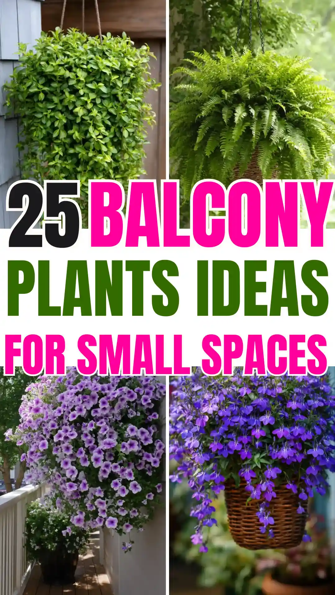 25 Best Hanging Plants For Balcony